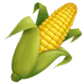🌽 Bonggol Jagung WhatsApp