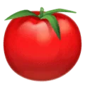 🍅 Tomat WhatsApp