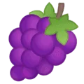 🍇 Anggur Google