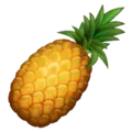 🍍 Nanas WhatsApp