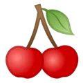 🍒 Ceri Google