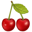 🍒 Ceri Samsung