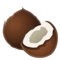 🥥 Kelapa Google