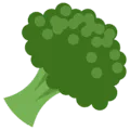 🥦 Brokoli Twitter