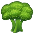 🥦 Brokoli WhatsApp