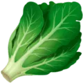 🥬 Selada Hijau Apple