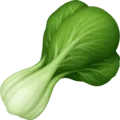 🥬 Selada Hijau Facebook