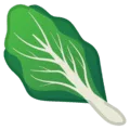 🥬 Selada Hijau Google