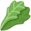 🥬 Selada Hijau Twitter