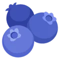 🫐 Blueberry Google