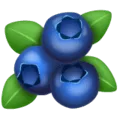 🫐 Blueberry WhatsApp