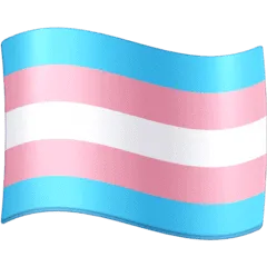 🏳️‍⚧️ Bendera Transgender Facebook