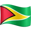 🇬🇾 Bendera Guyana Facebook
