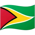 🇬🇾 Bendera Guyana Google