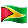 🇬🇾 Bendera Guyana Samsung