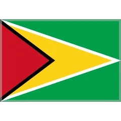 🇬🇾 Bendera Guyana Skype