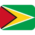 🇬🇾 Bendera Guyana Twitter