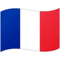 🇲🇫 Bendera Saint Martin Google