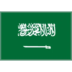 🇸🇦 Bendera Arab Saudi Skype