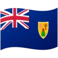 🇹🇨 Bendera Kepulauan Turks dan Caicos Google
