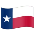 🏴󠁵󠁳󠁴󠁸󠁿 Bendera untuk Texas Emojipedia