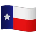 🏴󠁵󠁳󠁴󠁸󠁿 Bendera untuk Texas WhatsApp