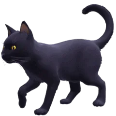 🐈‍⬛ Kucing Hitam Facebook