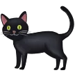 🐈‍⬛ Kucing Hitam Samsung