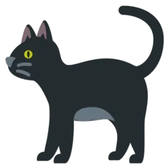 🐈‍⬛ Kucing Hitam Twitter