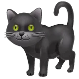 🐈‍⬛ Kucing Hitam WhatsApp