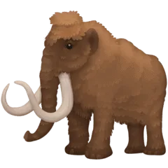 🦣 Mamut Facebook