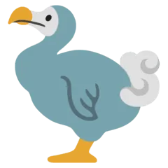 🦤 Dodo Google