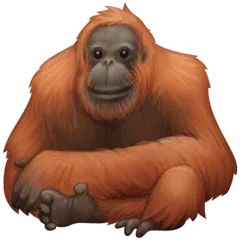🦧 Orangutan Facebook