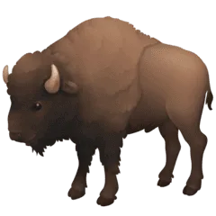 🦬 Bison Facebook