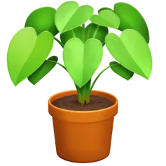 🪴 Tanaman Pot Facebook