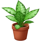 🪴 Tanaman Pot WhatsApp