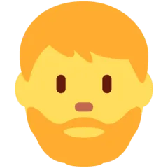🧔‍♂️ Pria Janggut Twitter