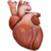 🫀 Jantung Anatomis Facebook