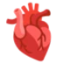 🫀 Jantung Anatomis Google