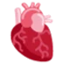 🫀 Jantung Anatomis Twitter