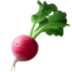 🫜 Sayuran Umbi Apple