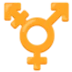 ⚧️ Simbol Transgender Google