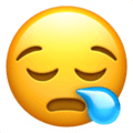 😪 Wajah Mengantuk Apple