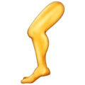 🦵 Kaki Emojipedia