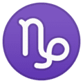 ♑ Capricorn Google