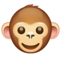 🐵 Wajah Monyet WhatsApp