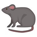 🐀 Tikus