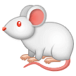🐁 Tikus Samsung