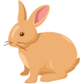 🐇 Kelinci Messenger