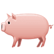 🐖 Babi Samsung